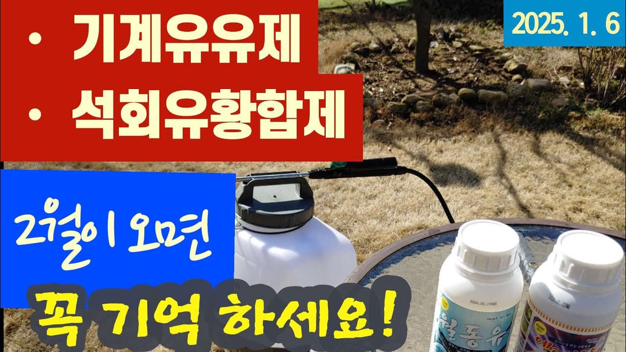 기계유유제/석회유황합제 - 2월이 오면 꼭 기억하세요 # 유실수 병충해방제