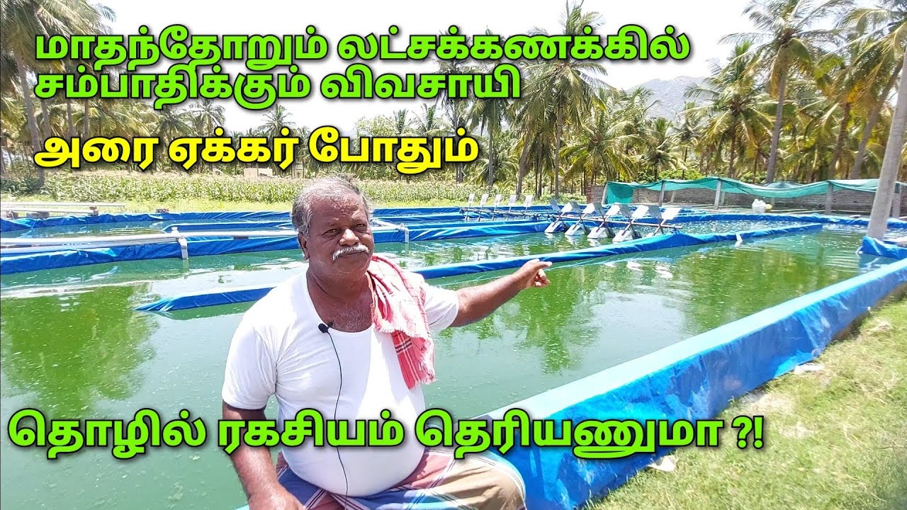 லட்சக்கணக்கில் வருமானம் |அரை ஏக்கரில் அசத்தும் விவசாயி |contact : 9894118122 #Spirulina