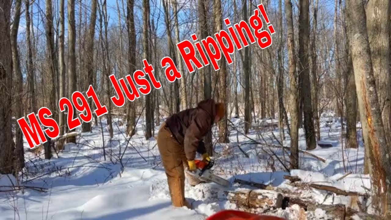 Cutting Firewood with the MS 291 STIHL and welding up hog panels.