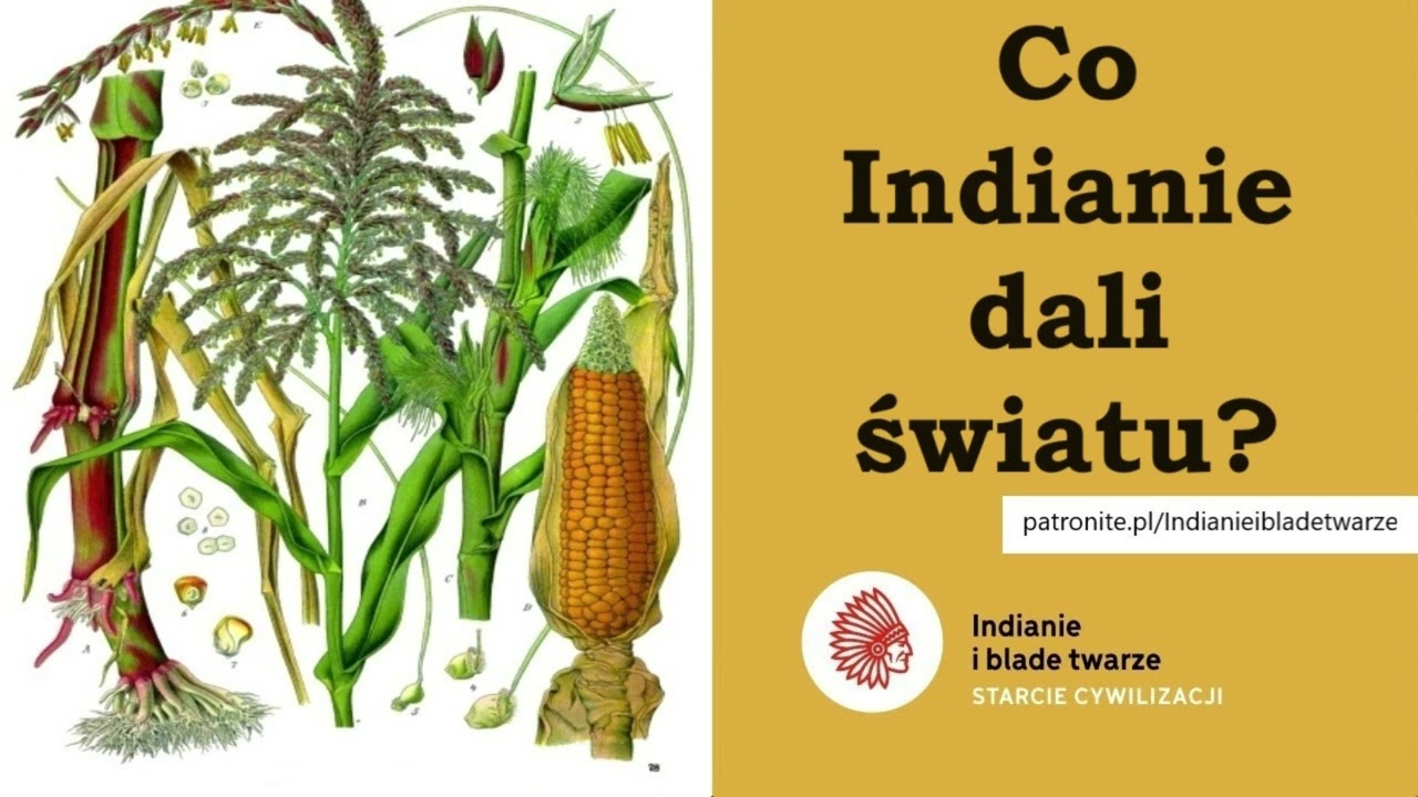 Co Indianie dali światu?