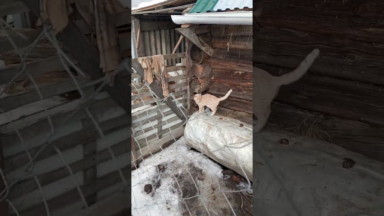 На улице сегодня весна