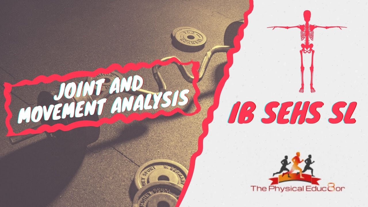 Физическое образование: IB SEHS: Тема 4.2 Анализ суставов и движений