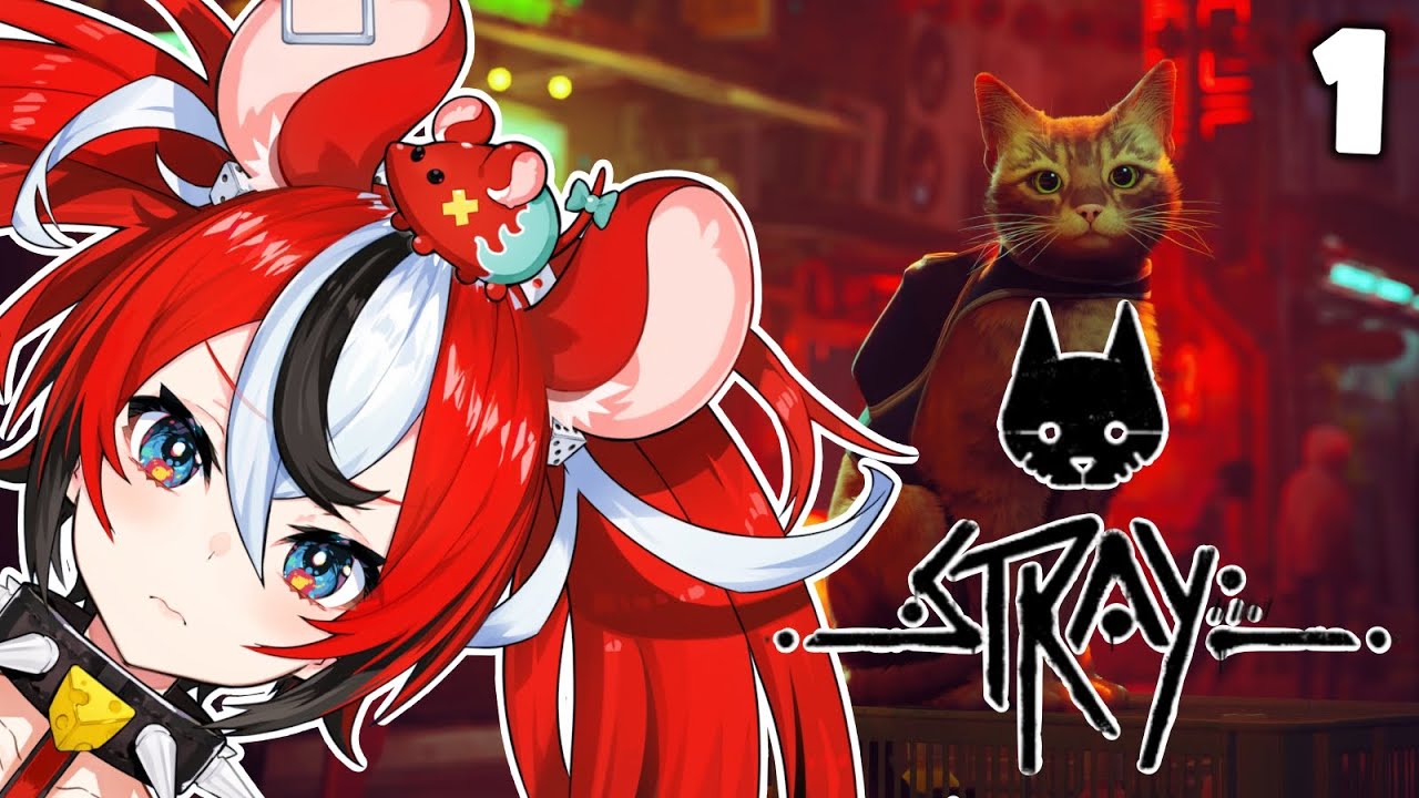 ≪STRAY≫ im a rat i mean cat