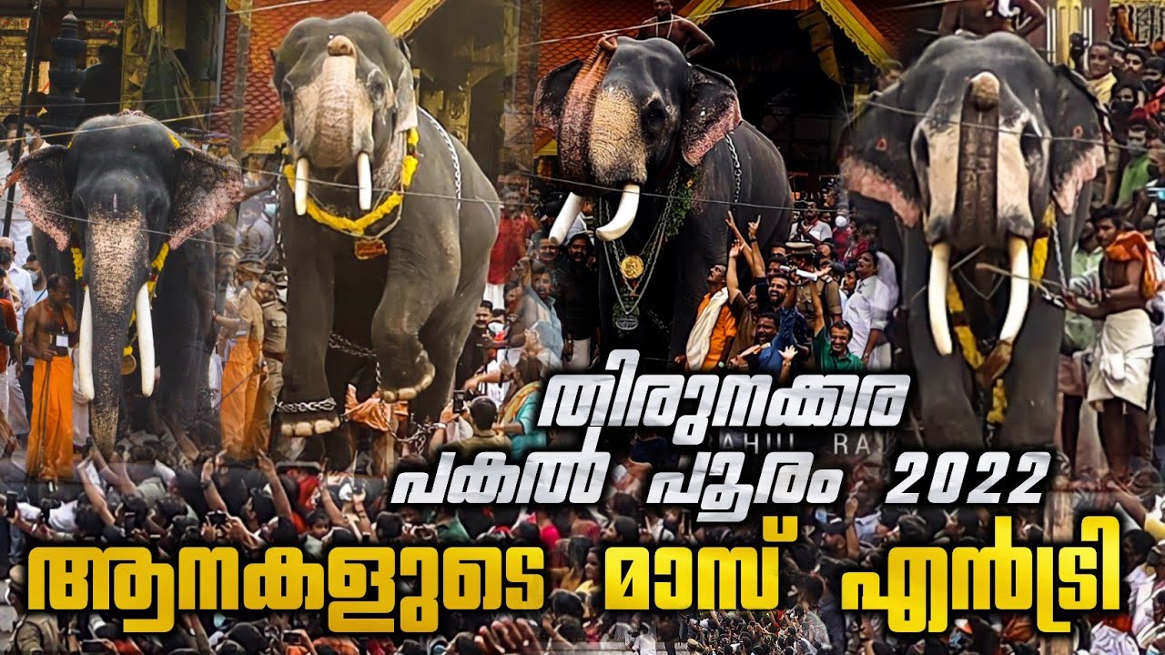 തിരുനക്കര പൂരം 2022 | Thirunakkara Pakal Pooram 2022 | Elephants Mass Entry