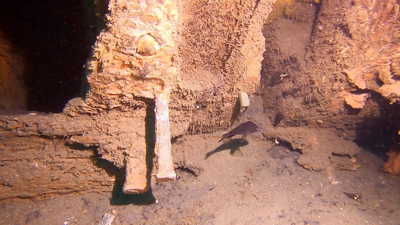 Brass Spike Shipwreck (awesome conditions) - Virginia Beach, VA 07/10/2021