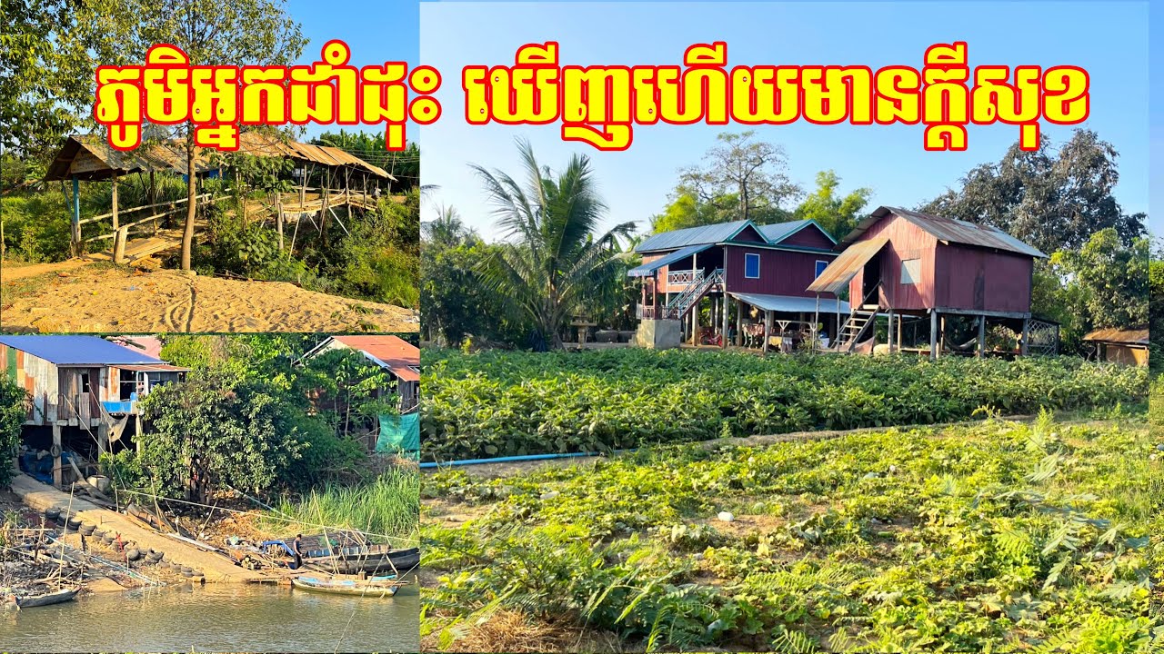 ពីដួងមា ទៅរហាលសួង អ្នកភូមិដាំដុះដំណាំច្រើនប្រភេទល្អៗ