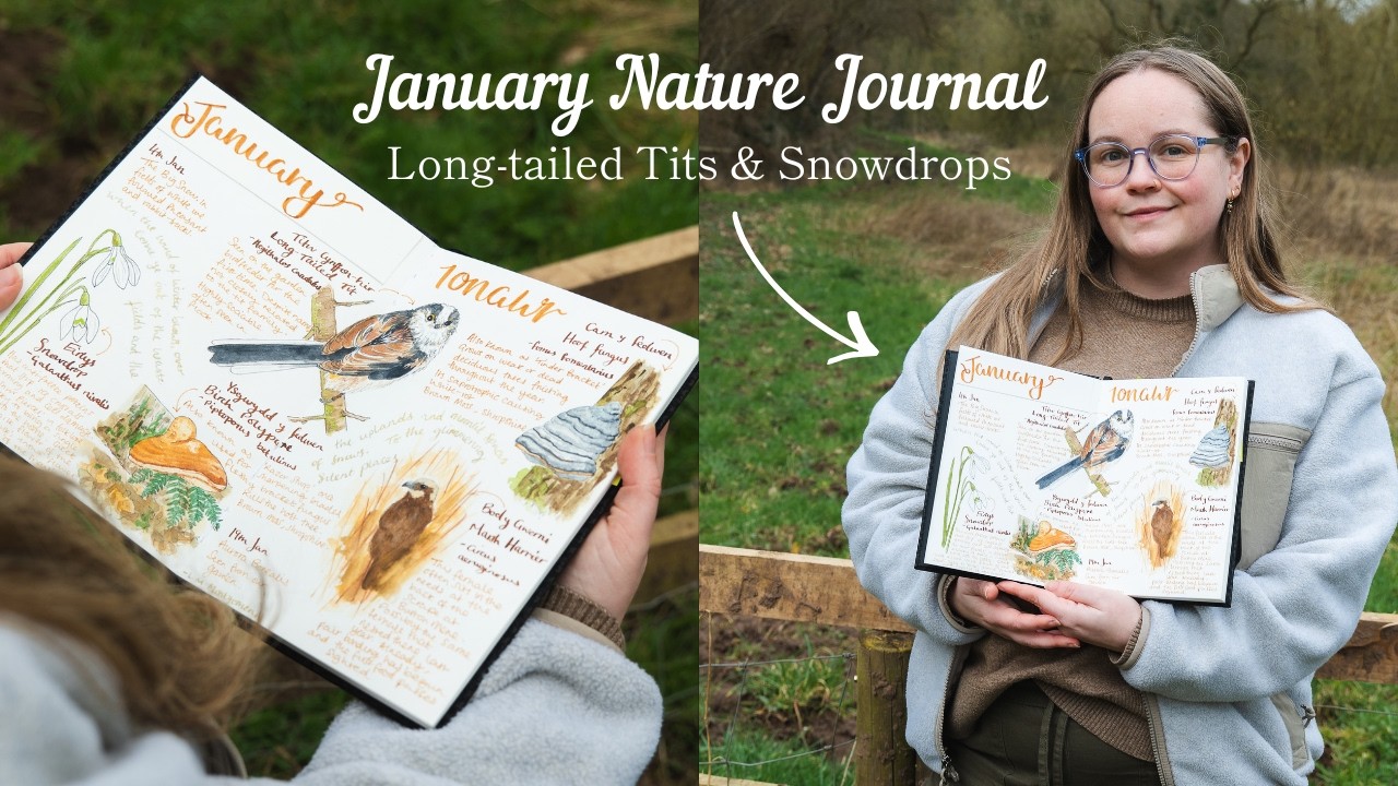 January Nature Journal | Setup and Watercolour tips