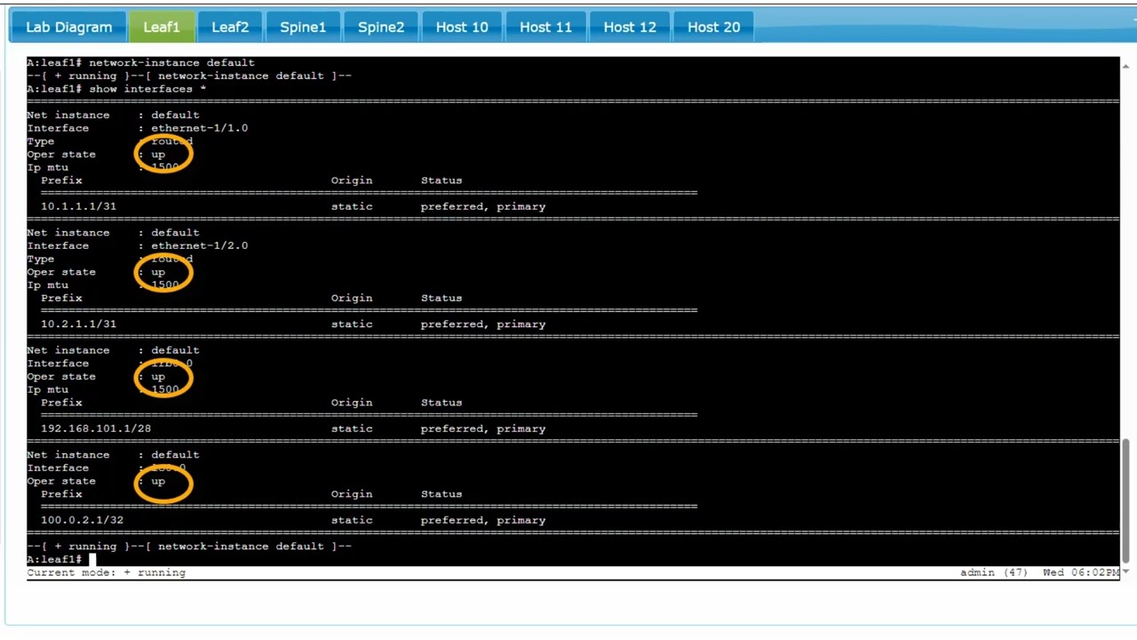 Nokia SR Linux Routing: Basic IS-IS