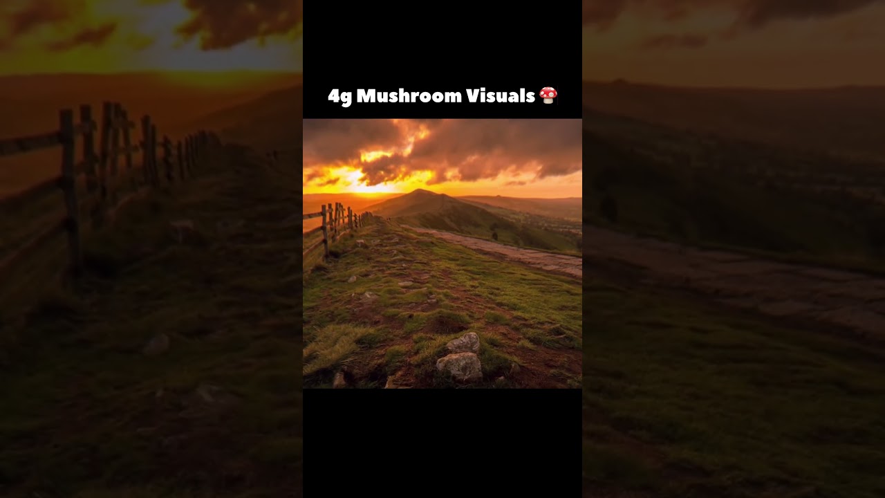 HEAVY MUSHROOM TRIP VISUALS