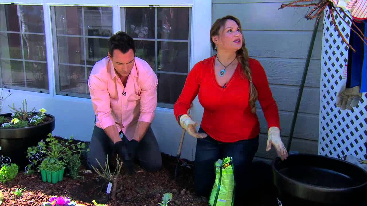 Shirley Bovshow's Herb and Rose Garden