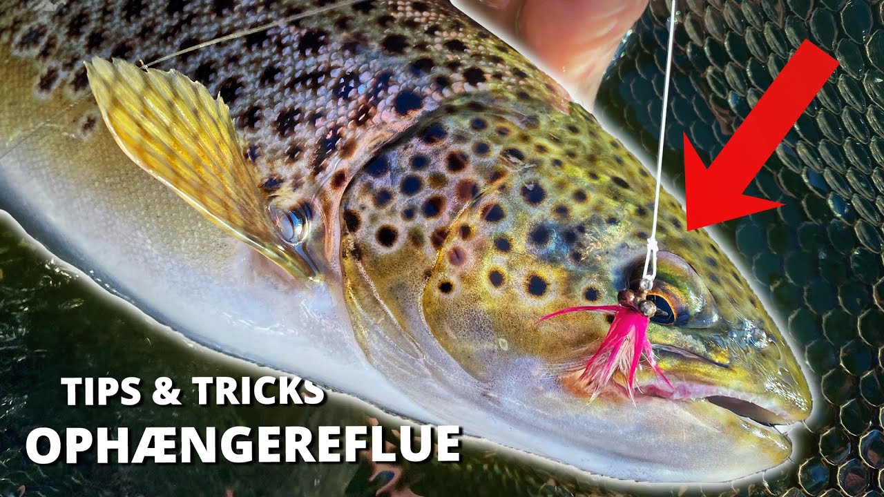 Ophængerflue Til Havørredfiskeri På Kysten - Tips & Tricks!