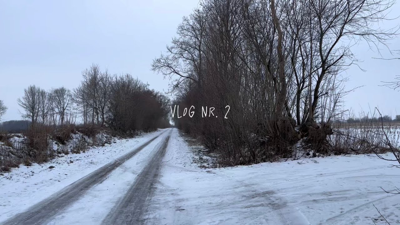 winterlicher Alltag und Hamburg day trip VLOG