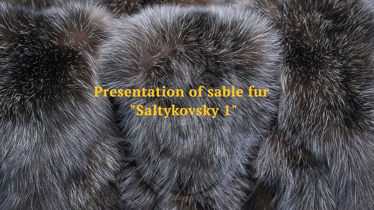 Presentation of sable fur 