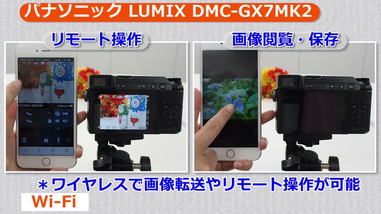 パナソニック LUMIX DMC-GX7MK2 （カメラのキタムラ動画_Panasonic）