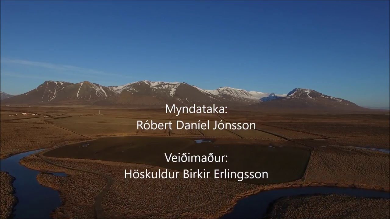 Vísindaveiðar í Víðidalsá vorið 2016