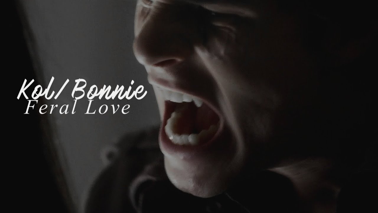 Kol and Bonnie - Feral Love