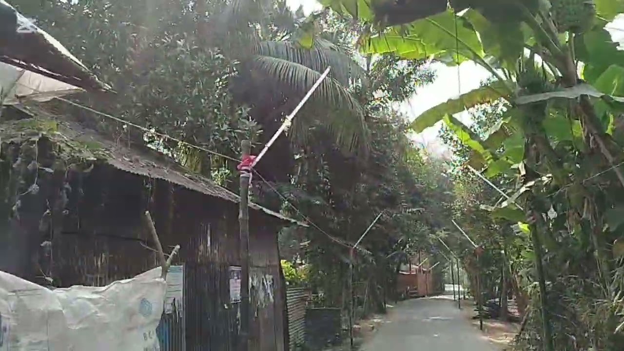 ওয়াজের কারণে রাস্তা দুপাশে লাইটিং করা হয়েছে। 