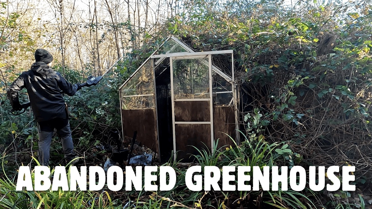 I Restored an Abandoned Greenhouse in the Woods — Part 1  Clearing, Glass Repair & Veg Beds