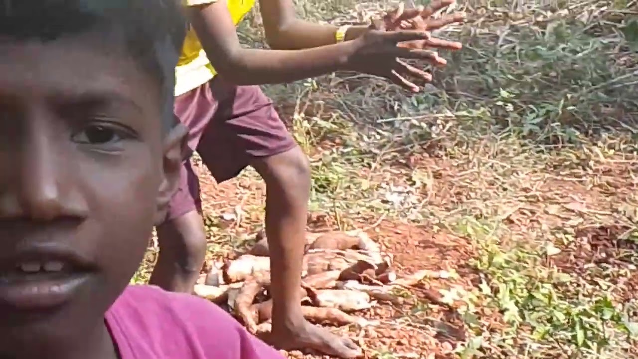 ബാക്കി കപ്പ കൂടി പൊരിച്ചേ... വായോ കാണാം 