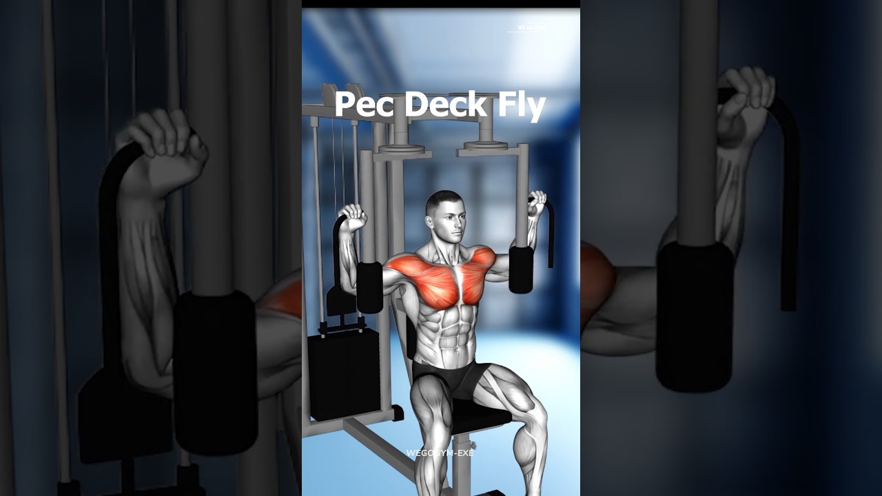 FULL BODY WORKOUT AT GYM - EFFECTIVE EXERCISES ( WE GO GYM )