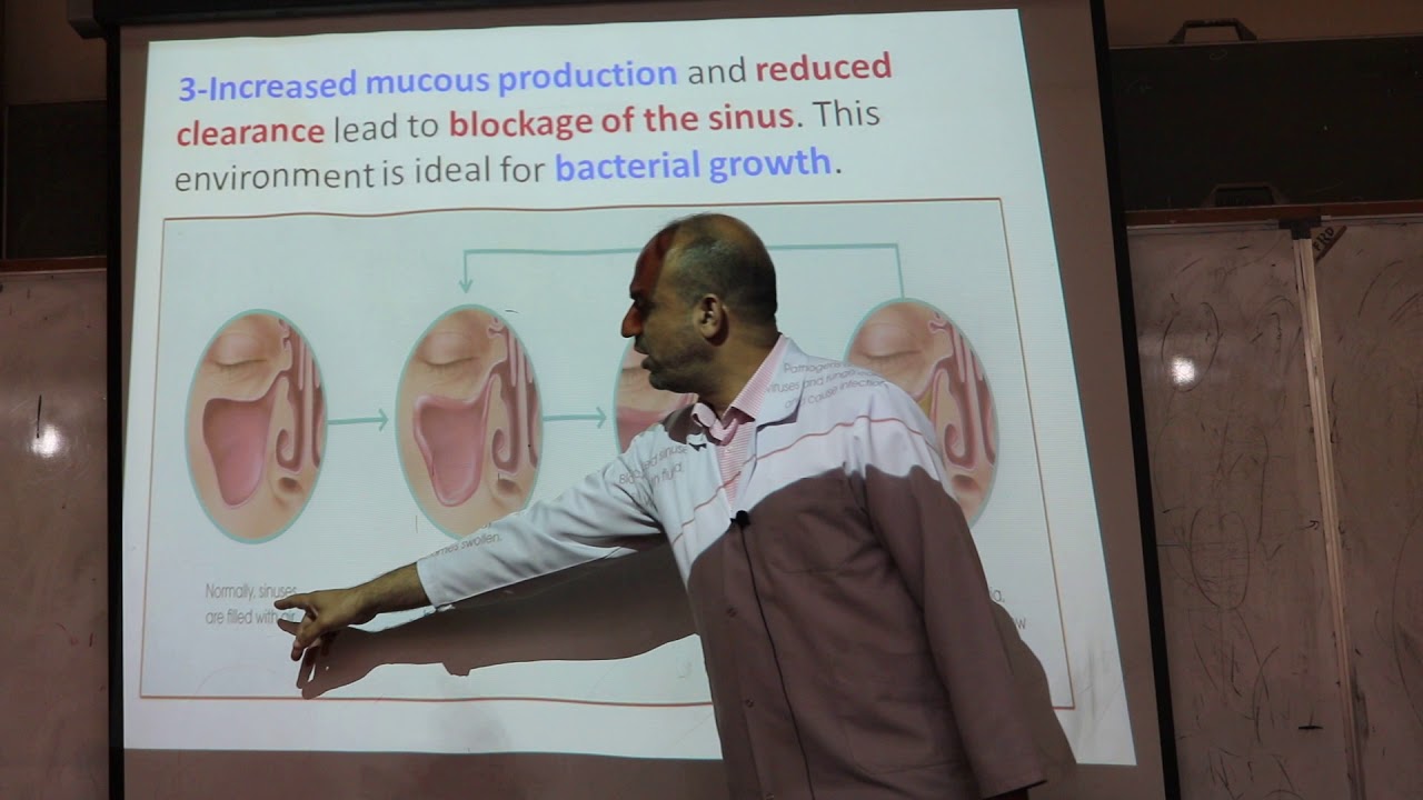 Respiratory Tract Infections. By DR. Dheyaa J. Kadhim