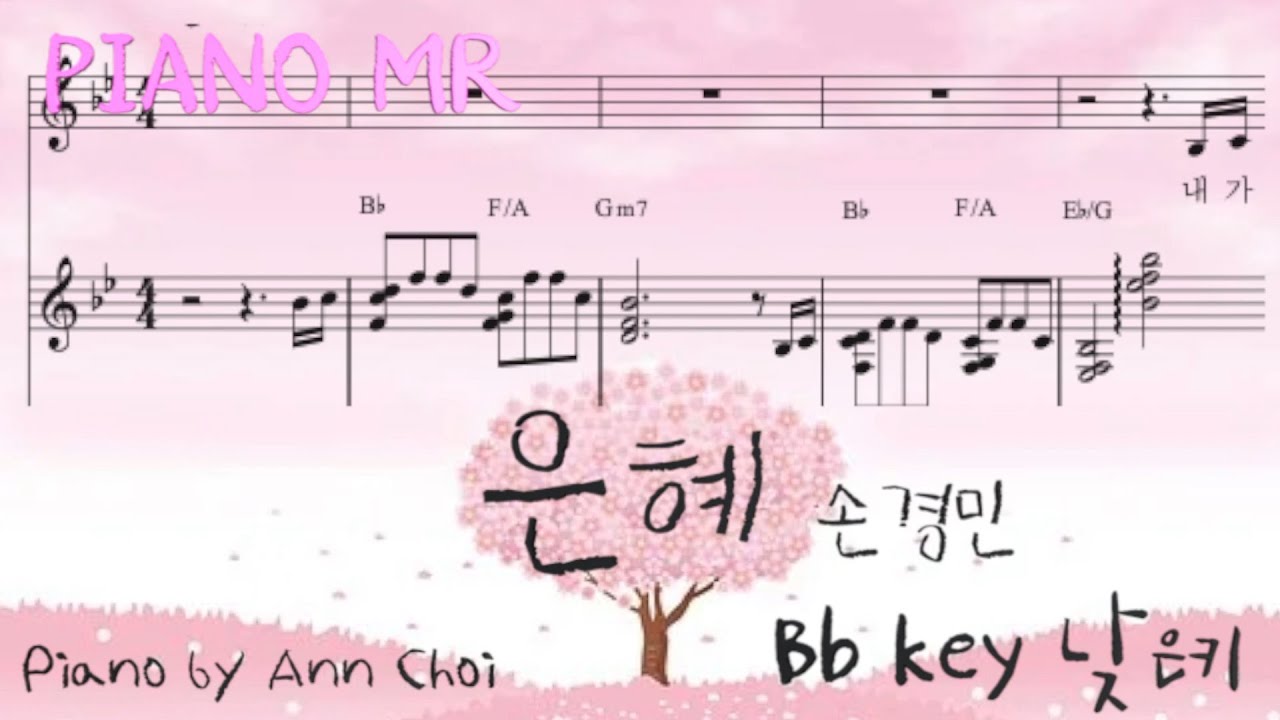 [PIANO MR]은혜 Bbkey 낮은키|손경민|피아노커버반주 엠알