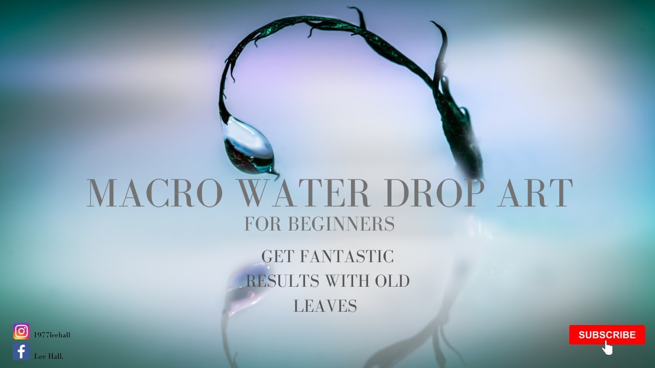 macro photography water drop art using dried leaves