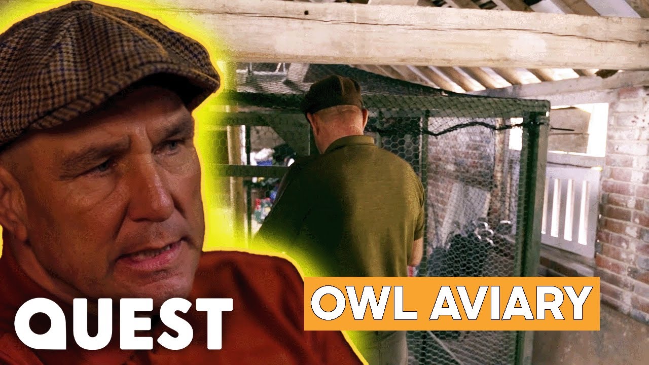 Винни обустраивает вольер для сов | Винни Джонс за городом