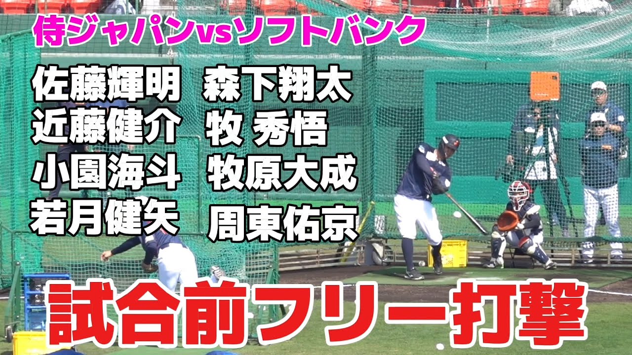 侍ジャパンvsソフトバンク 試合前フリー打撃　佐藤輝明　森下翔太　近藤健介　2025.2.23
