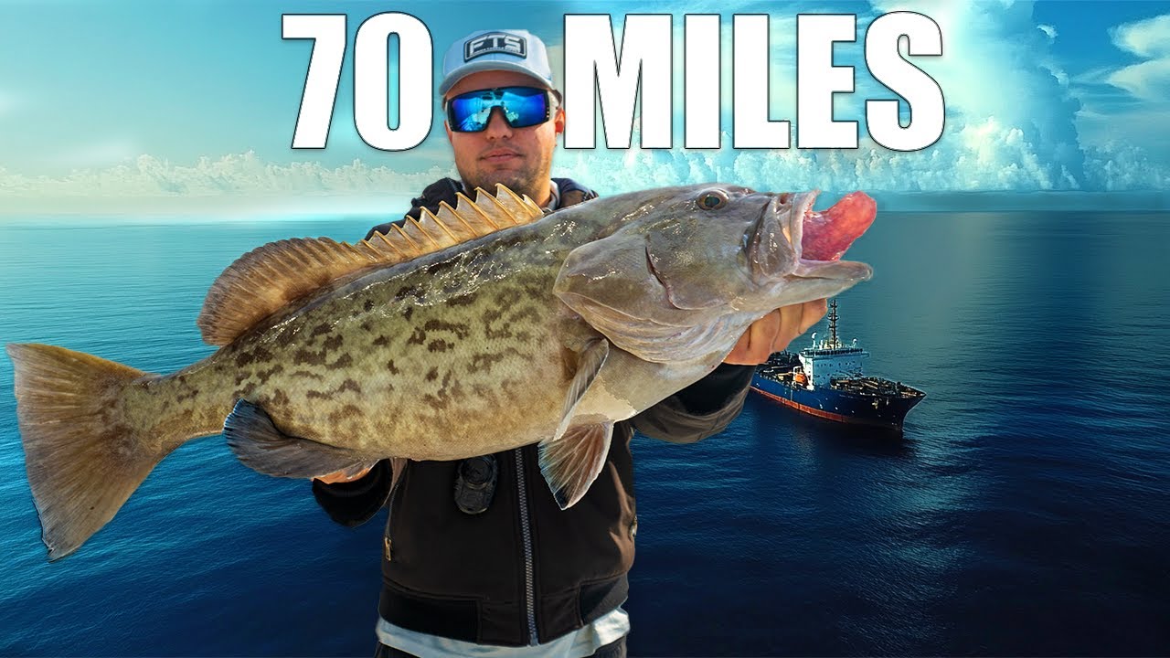Fishing 70 Miles Offshore In The Gulf Of America: In My 23 Foot Boat!