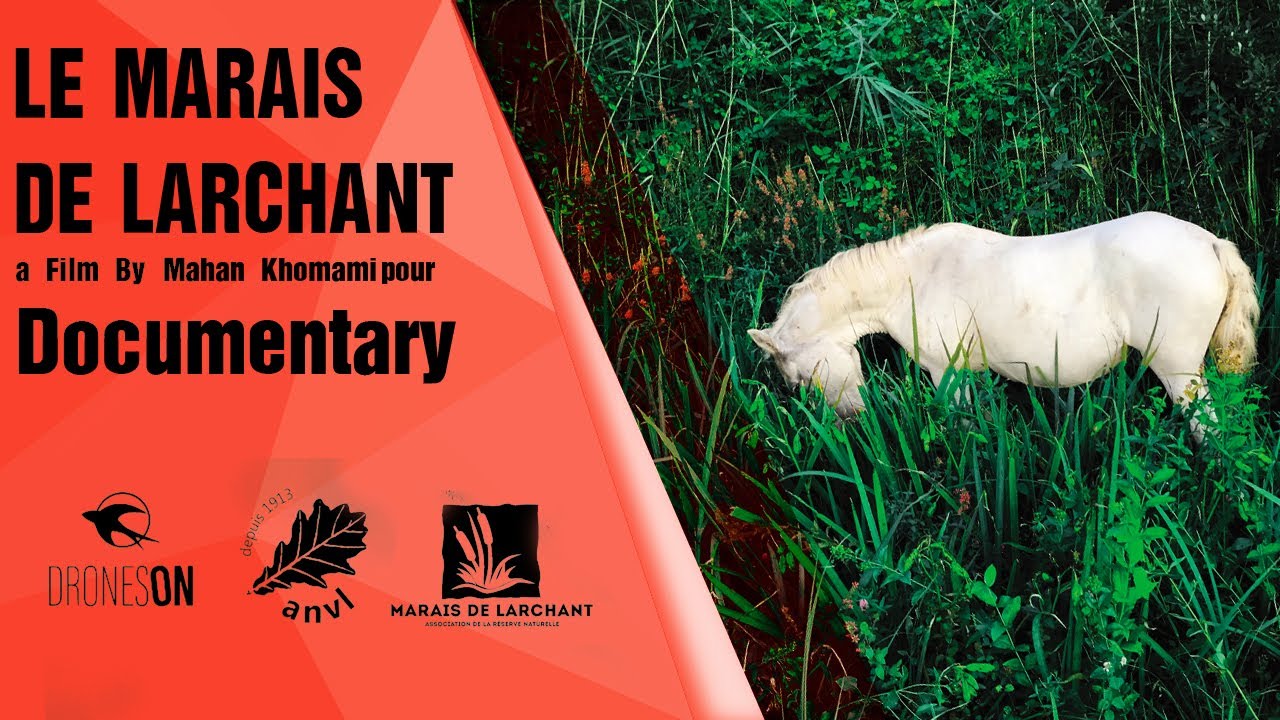 Le Marais de Larchant - Trailer - Directed by Mahan Khomamipour