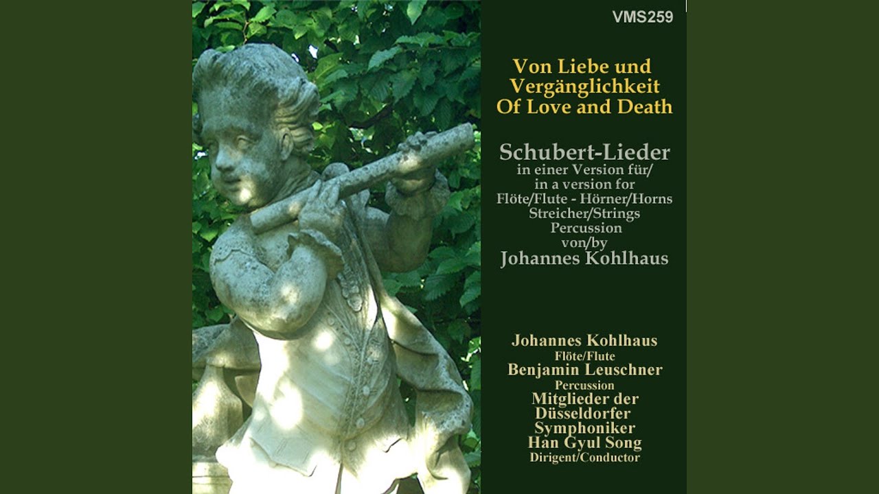 Die Winterreise, D. 911: No. 5, Der Lindenbaum (Arr. for Flute, Horns, Strings and Percussion...