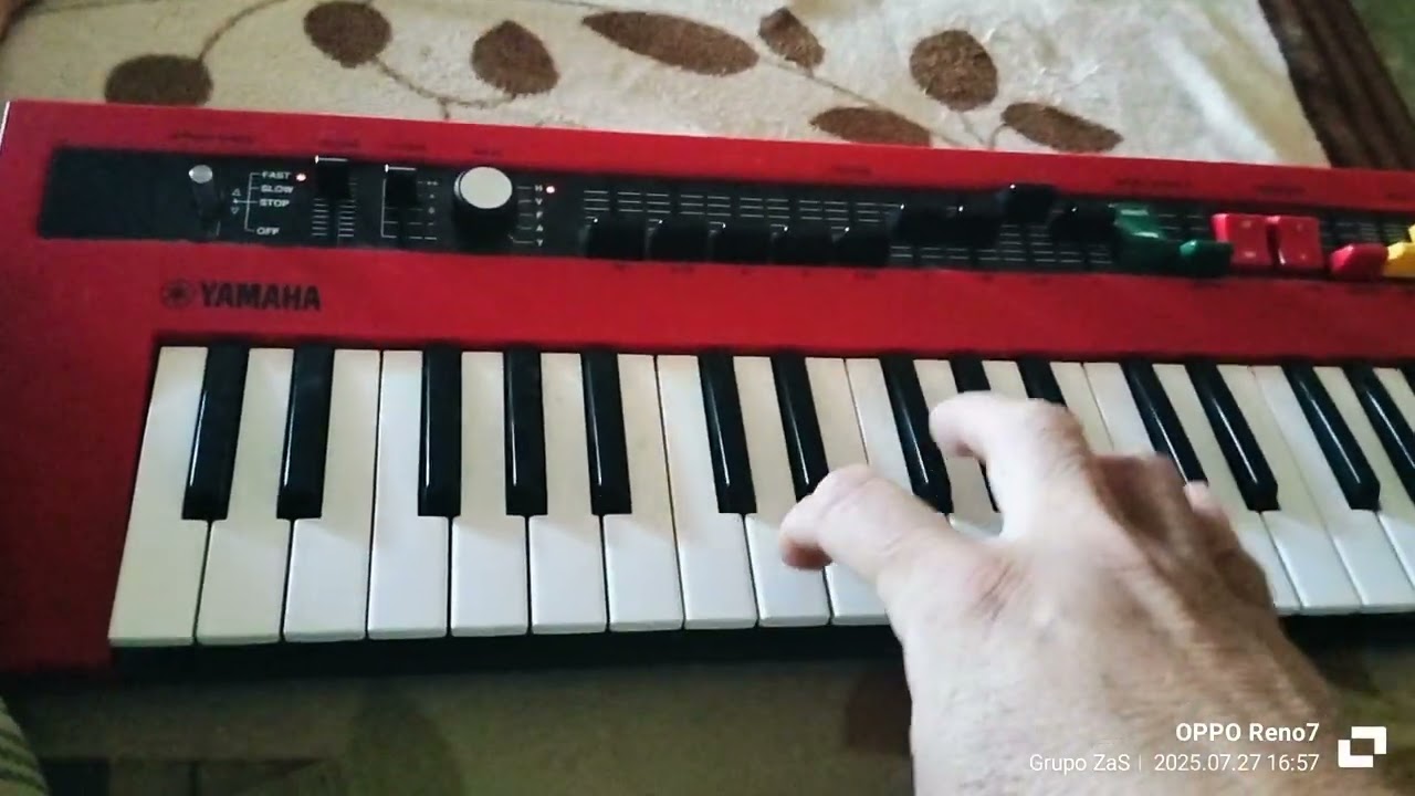 Mary Lee - Yamaha Reface YC