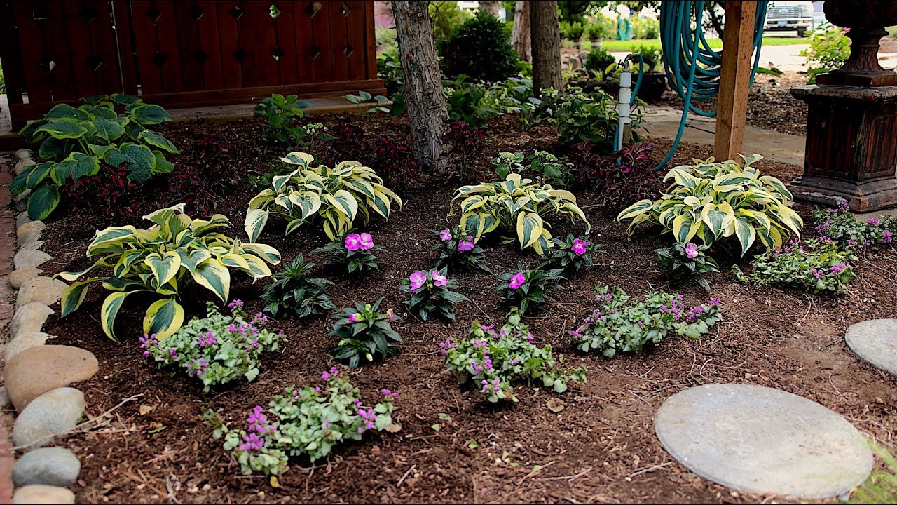 Shade Plant Inspiration // Garden Answer