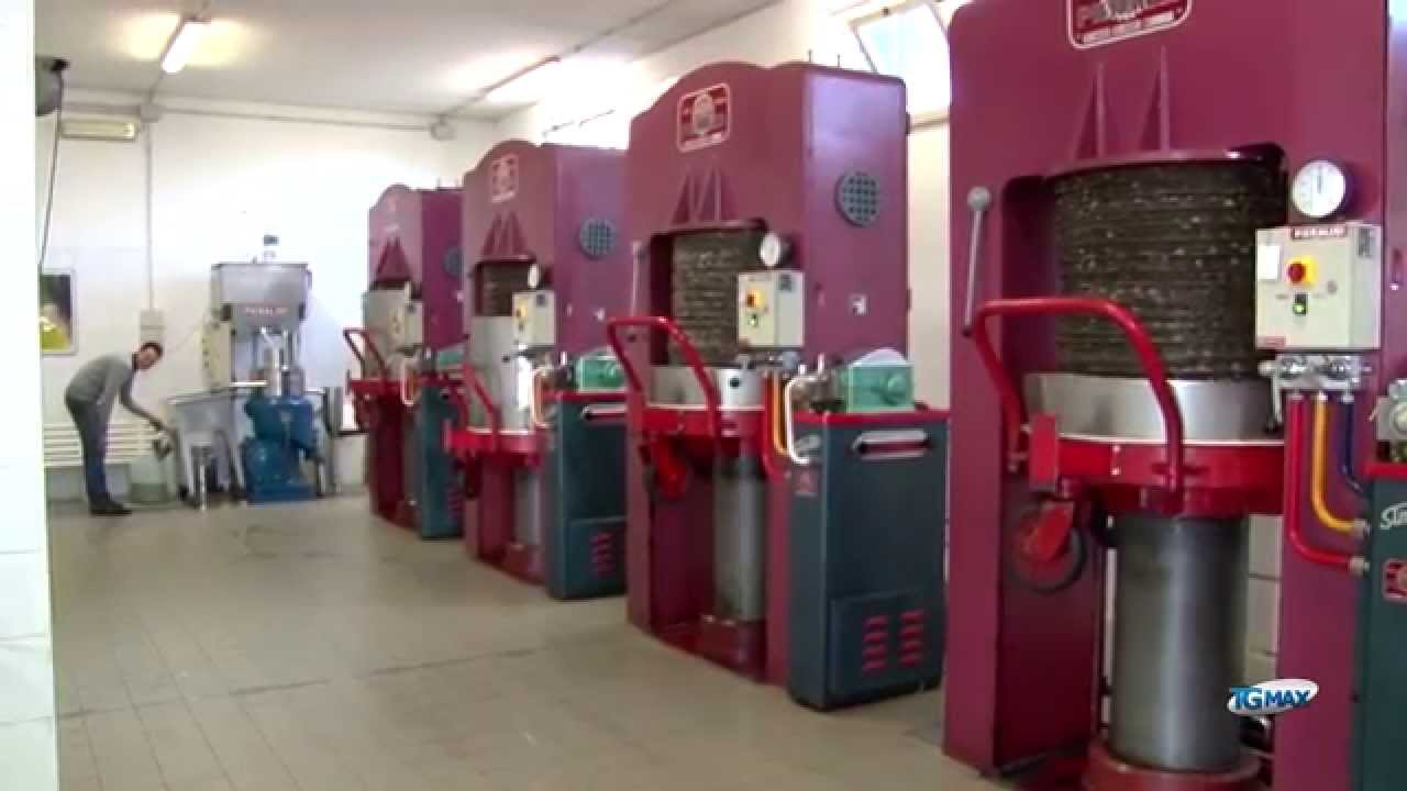 Olio nuovo, frantoi a pieno regime