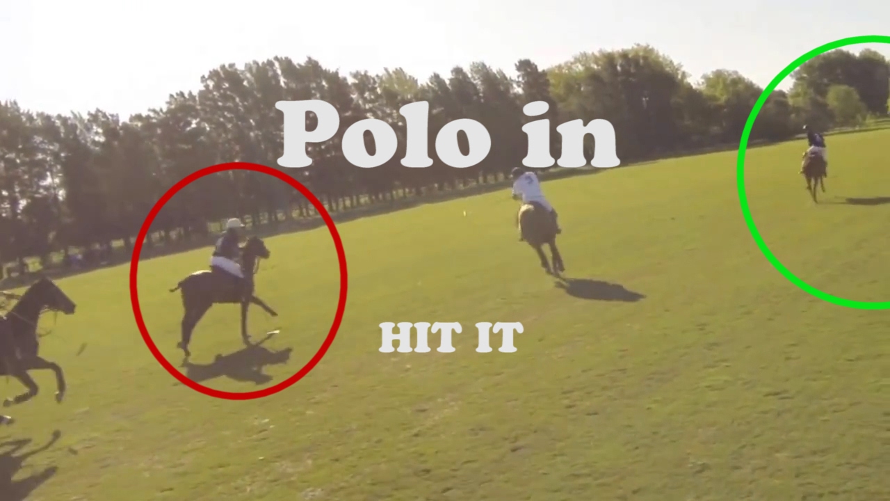 Professional Polo 08 Hit the Ball