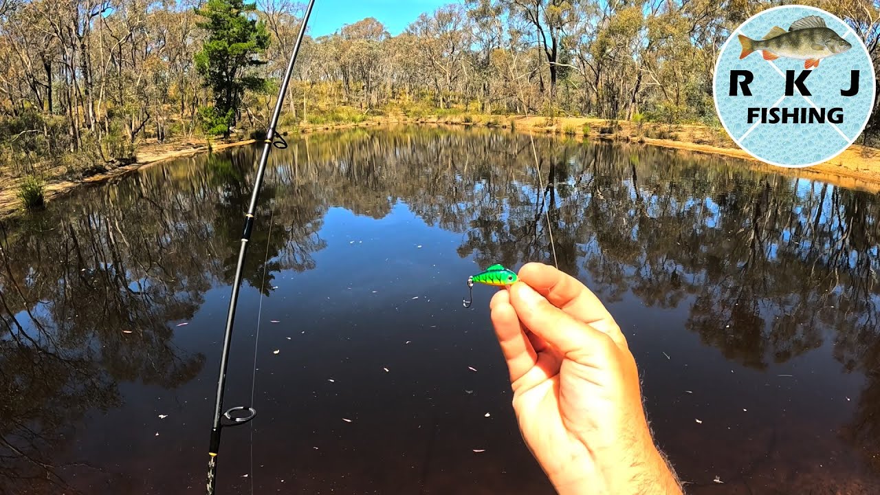 Redfin Fishing In A Small Dam