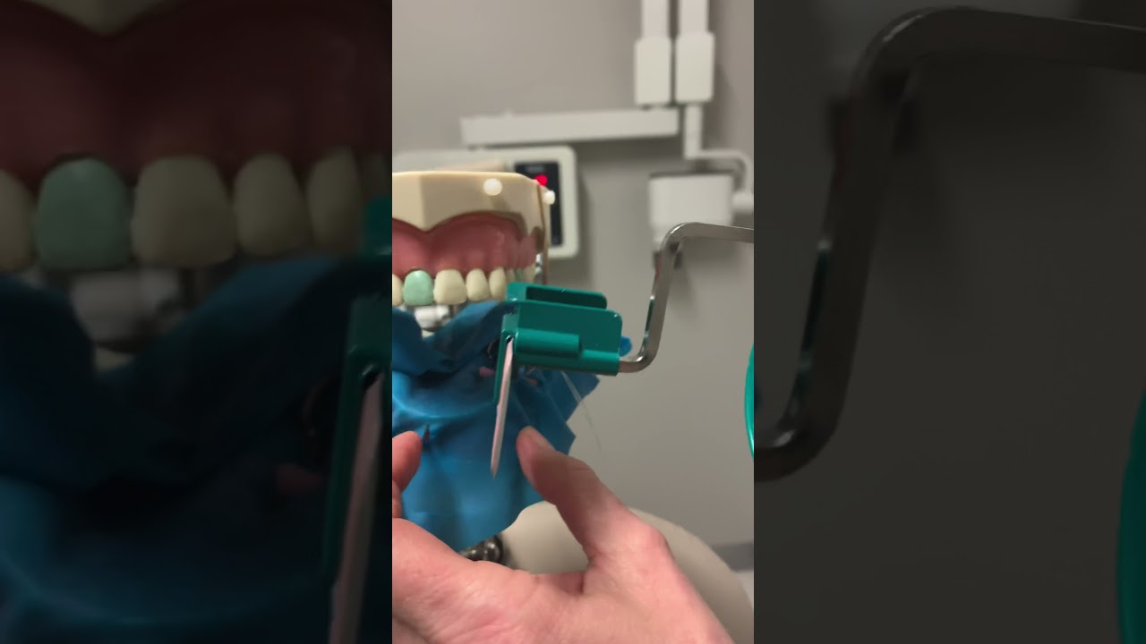 Endo PA with Endo ray holder