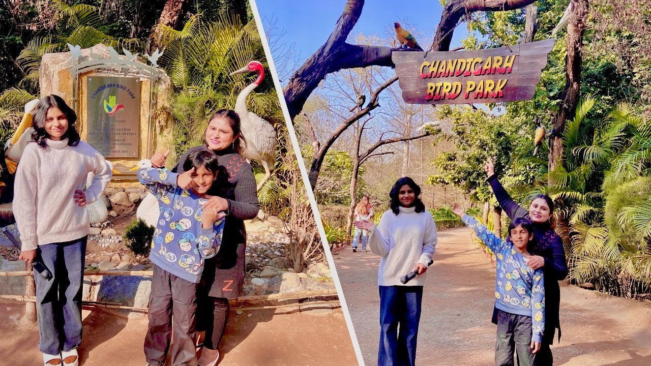 Bird park Chandigarh । bird 🦅 park । Vlogging 