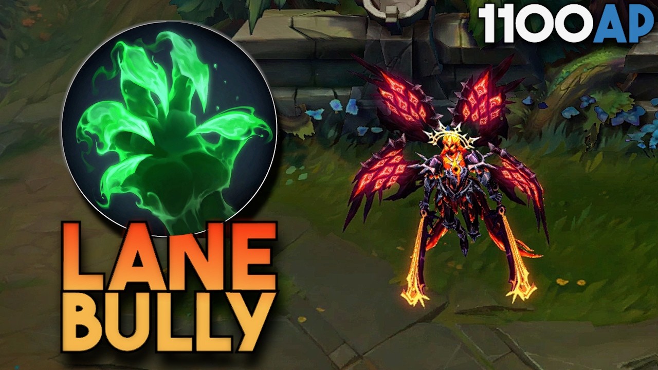 LANE BULLY KAYLE