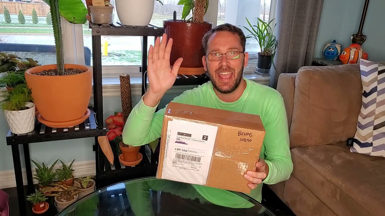 Plant Mail - Phoenix perennials Unboxing