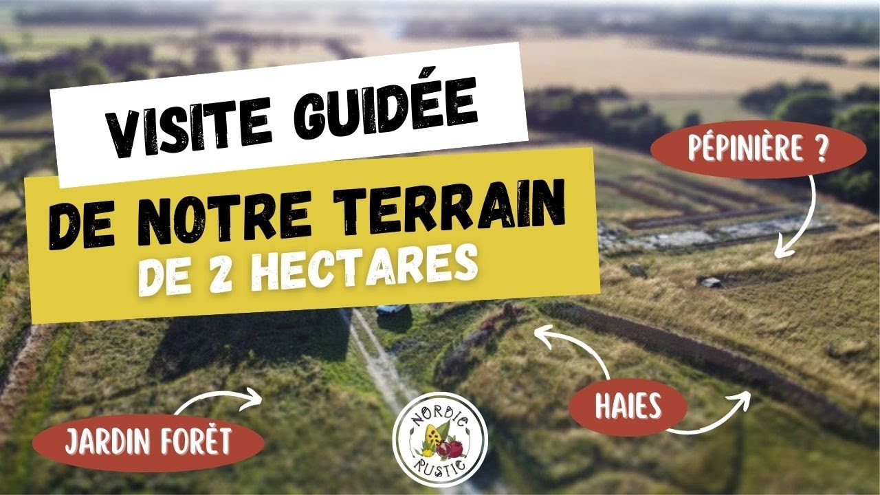 NORDIC RUSTIC - Découvrez notre terrain de 2 hectares 👀 🌳