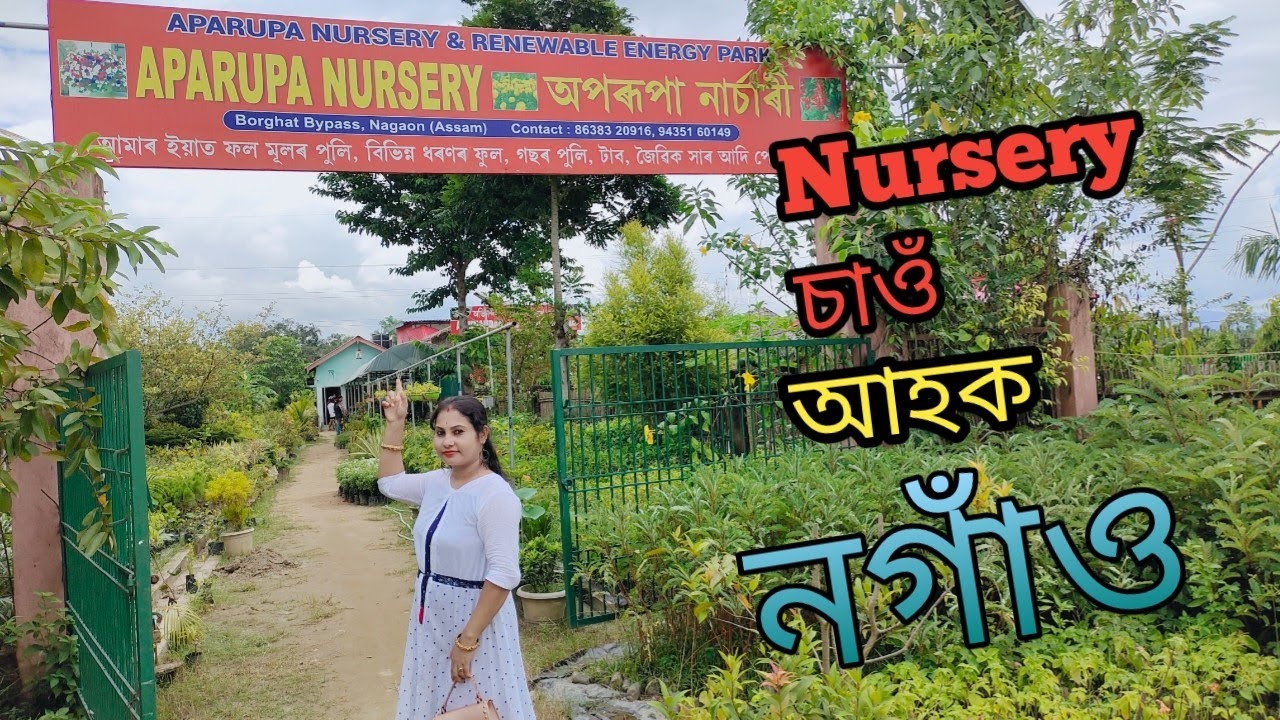 Aparupa Nursery চাওঁ আহক_Nagaon Aparupa Nursery_অপৰূপা নাৰ্চাৰী_Vlog.