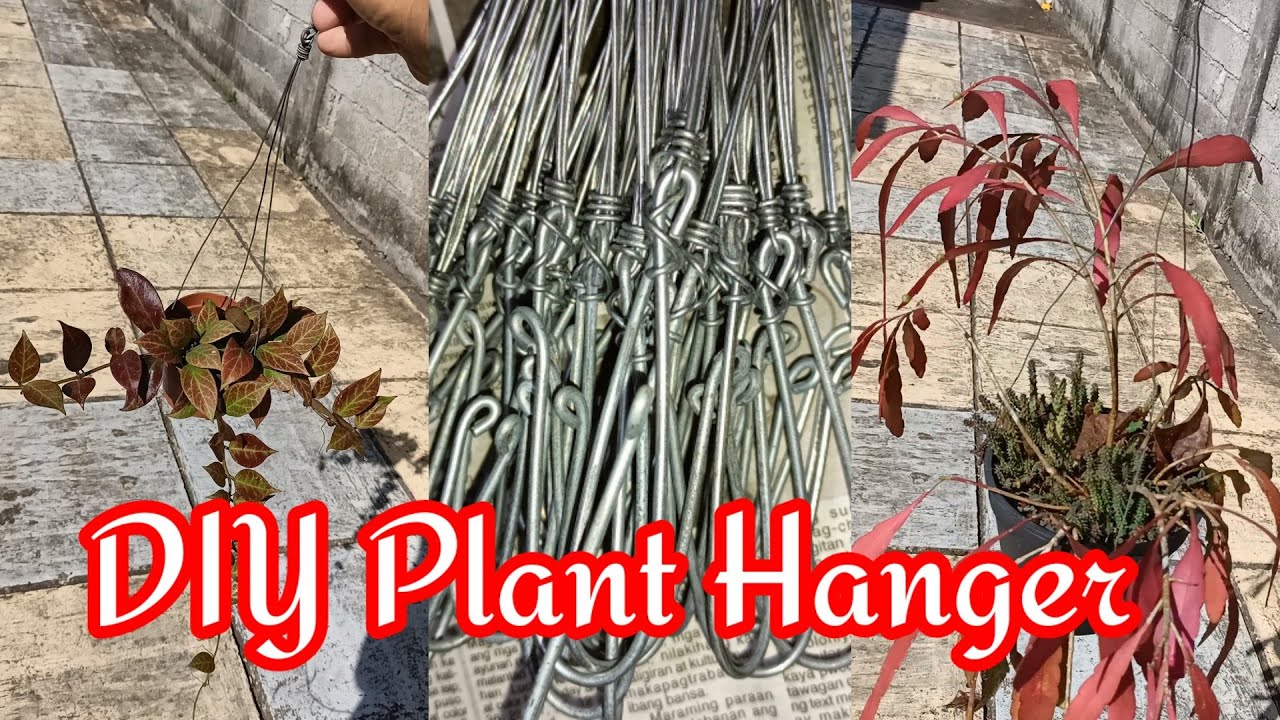 DIY Plant Hanger