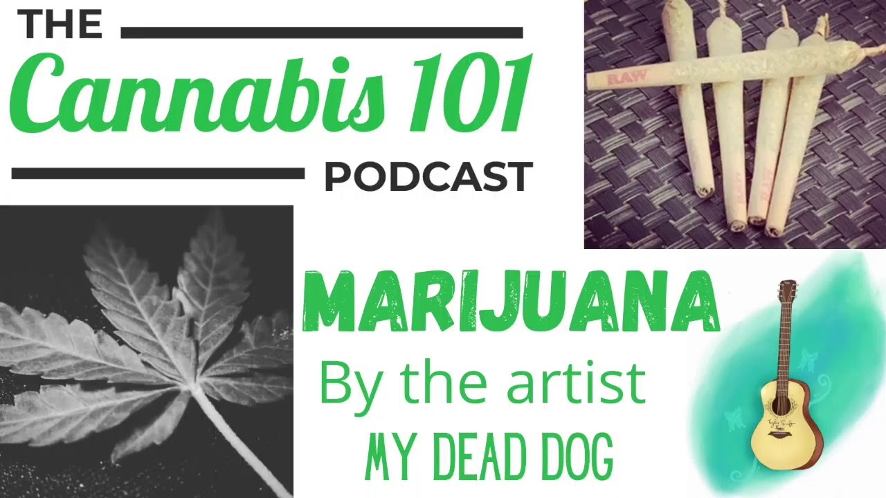 Cannabis 101 Podcast Episode 82 Hour 1 - Jesse Lavoie of Toba Grown + Lemon Berry by Ness on KYB