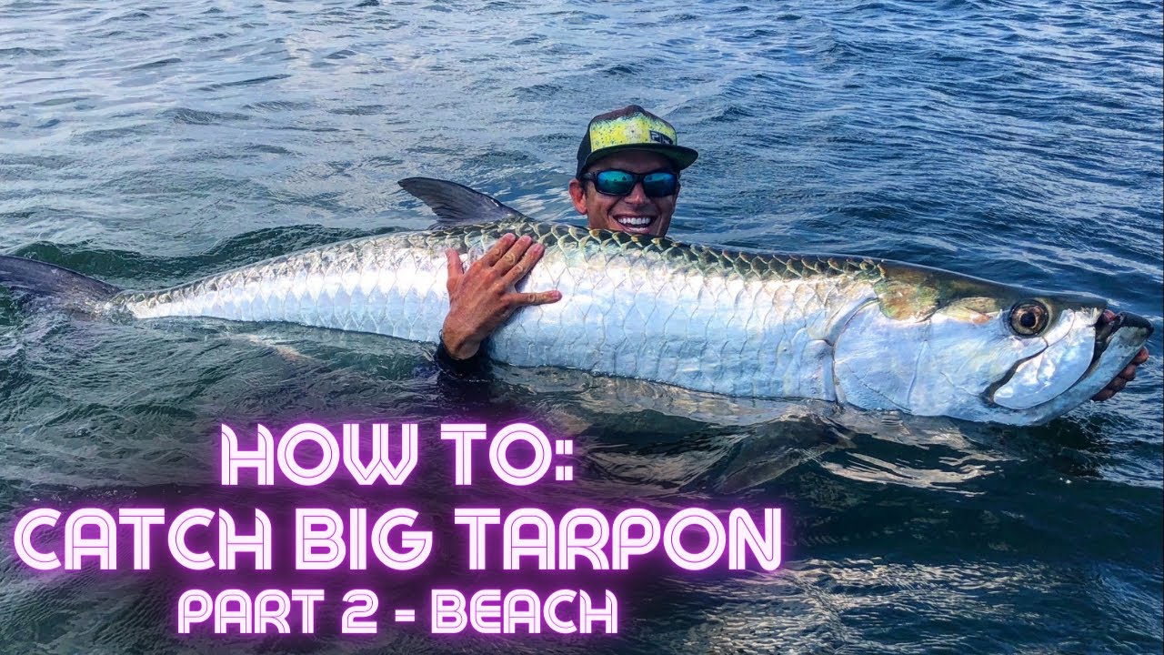 How To: Catch BIG TARPON! Part 2. Beach Fishing