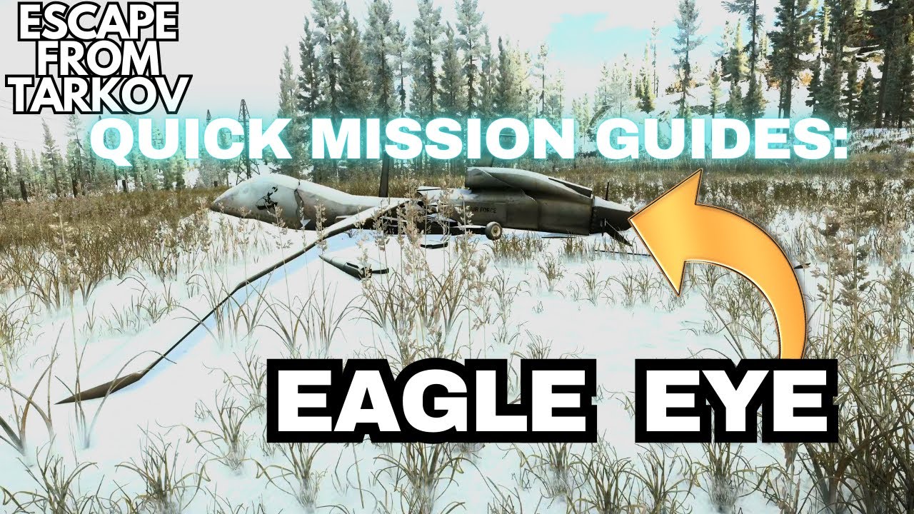 Eagle Eye Quick Guide Tarkov 1.0