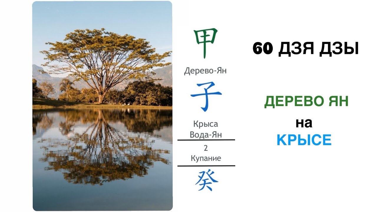 1 столп в 60 ДЗЯ ДЗЫ. Столп. Деревянная Крыса. Карта Ба Цзы Ольги Бузовой и Филиппа Киркорова