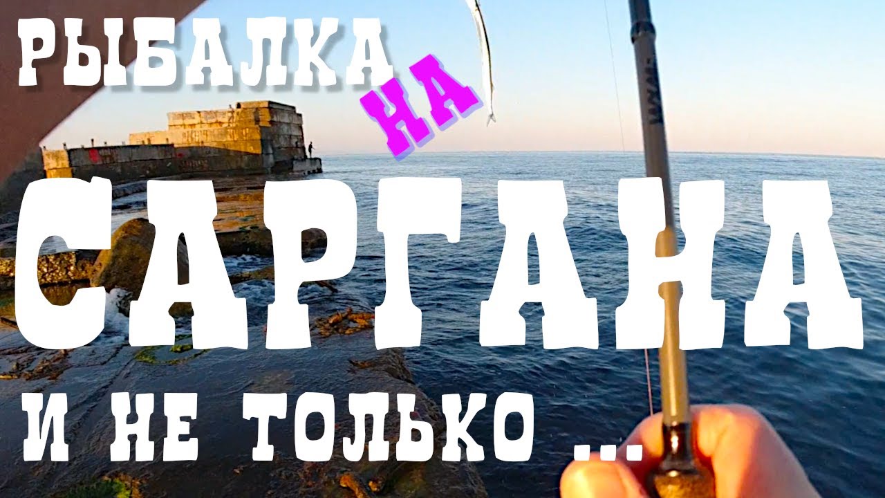 Ловля саргана на пилькер с берега. Ловля донной рыбы с берега.