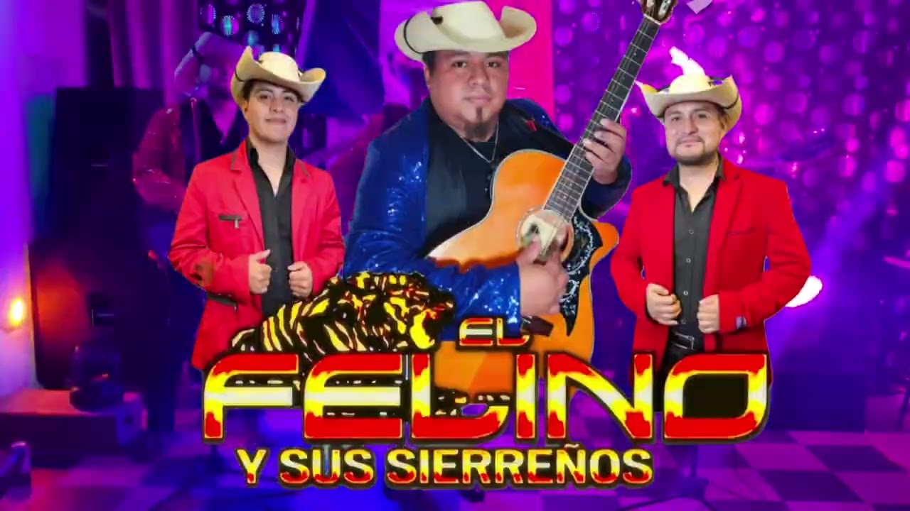 La doble rodada, el felino y sus sierreños,Recordando a simon rodriguez los armadillos de la sierra 